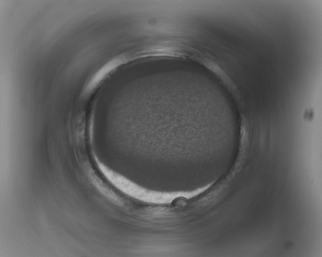 X0000111861450200909031740