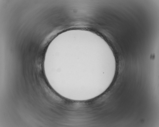 X0000111861451200909031740