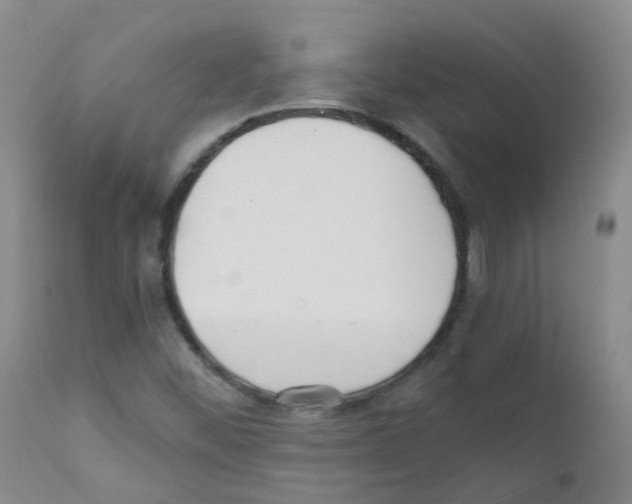 X0000111861452200909031740