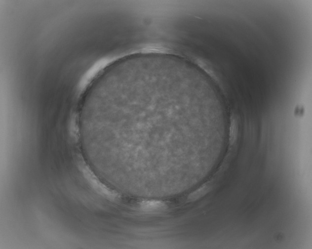 X0000111861454200909031739