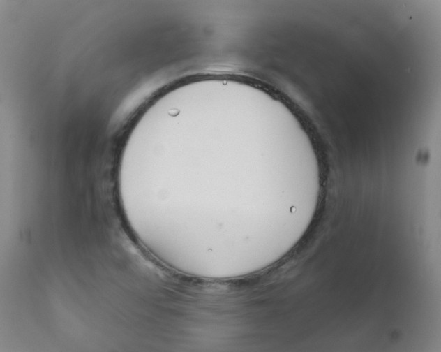 X0000111861456200909031739