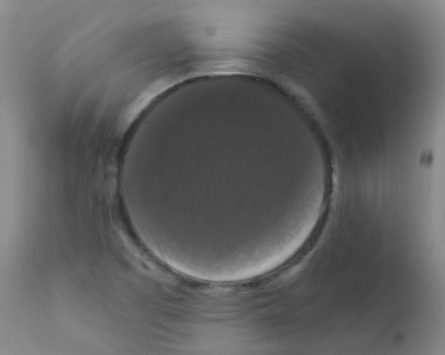 X0000111861457200909031739