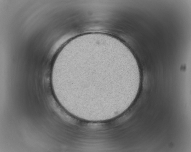 X0000111861458200909031739
