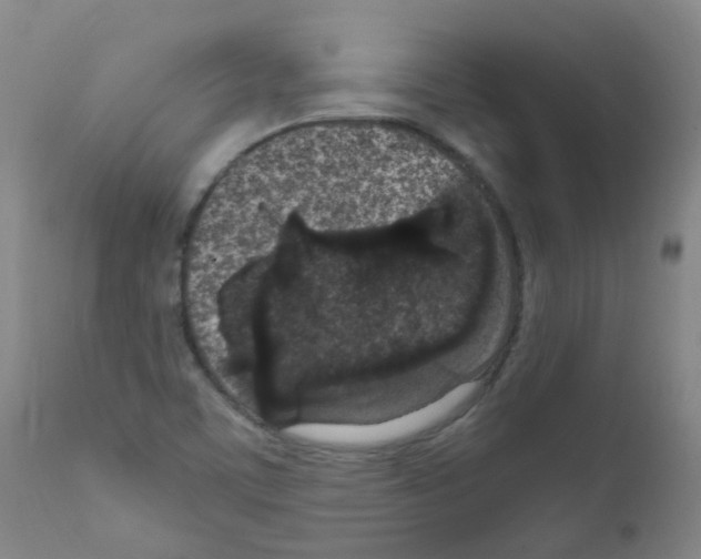 X0000111861459200909031739