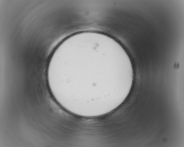 X0000111861460200909031739