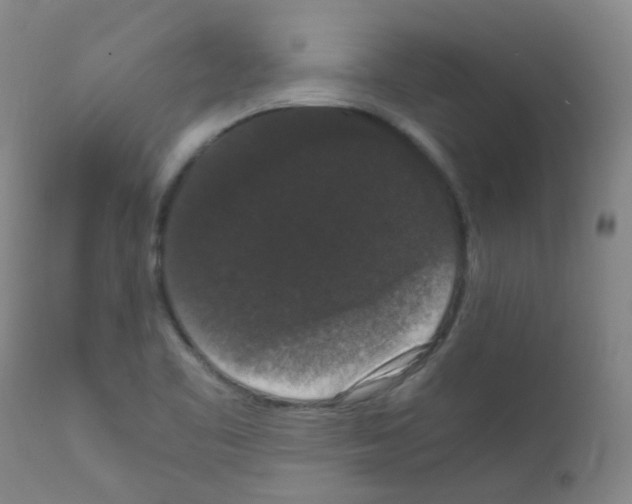 X0000111861461200909031739