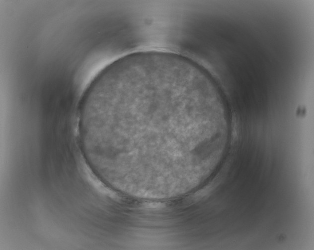 X0000111861462200909031739