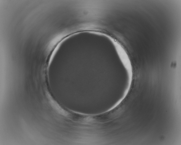 X0000111861463200909031739