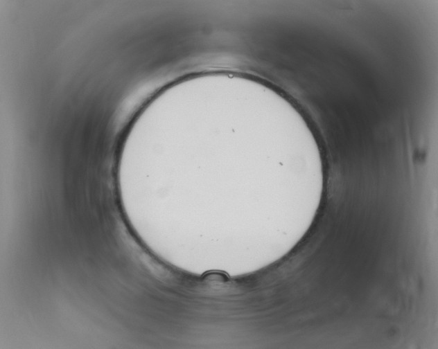 X0000111861464200909031739