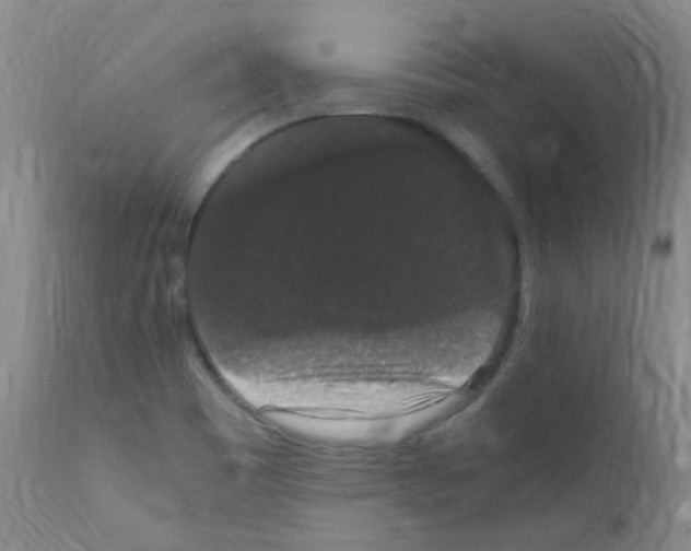 X0000111861465200909031739