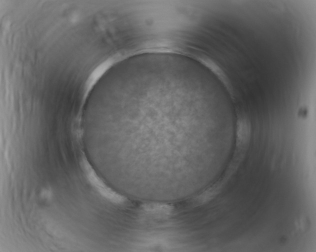 X0000111861466200909031739
