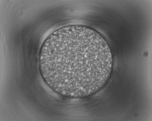 X0000111861467200909031739