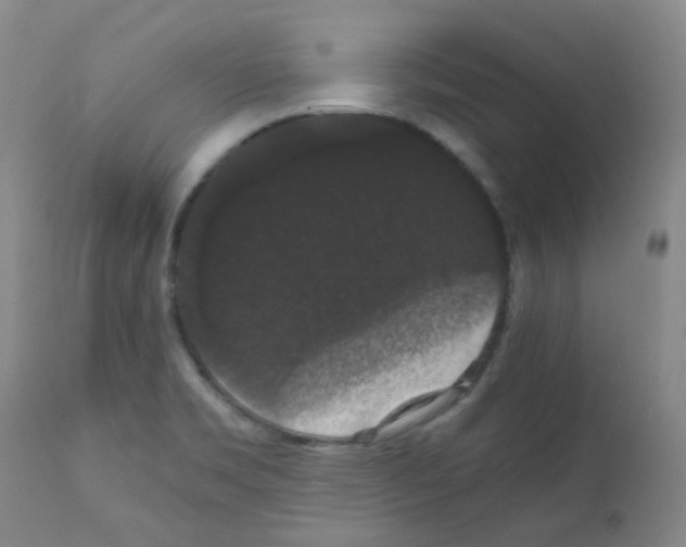 X0000111861469200909031739