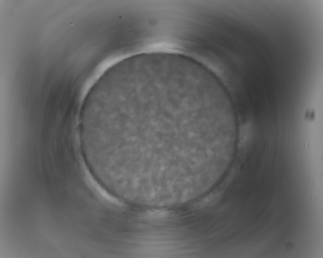 X0000111861470200909031739