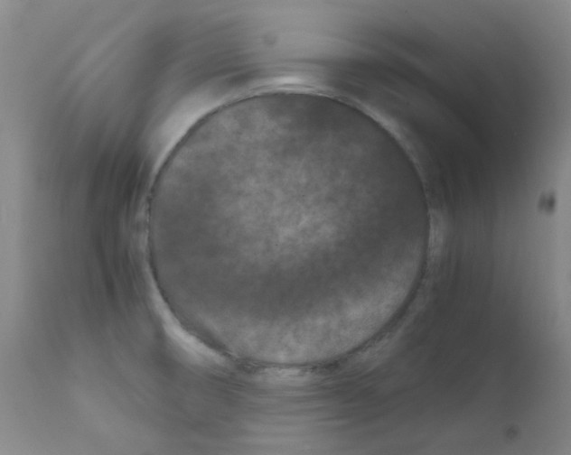 X0000111861474200909031739
