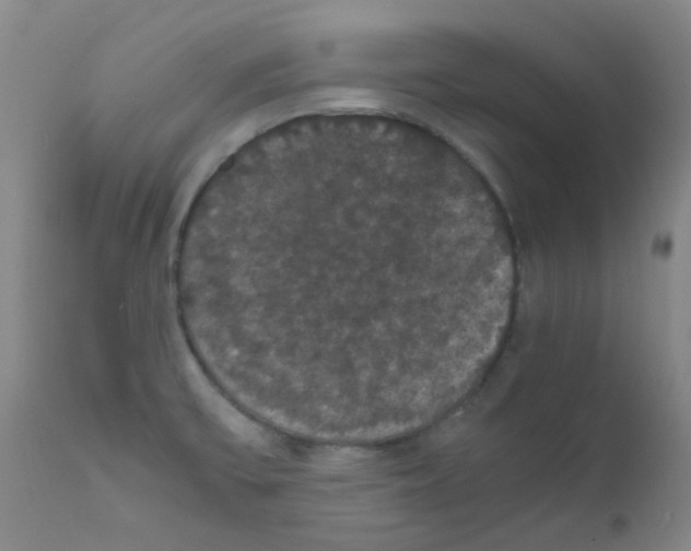 X0000111861475200909031739