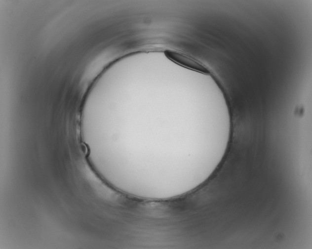 X0000111861476200909031739