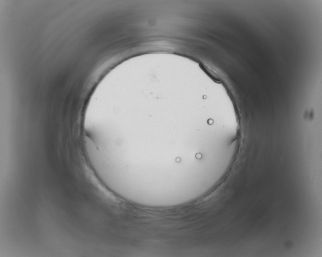 X0000111861477200909031739