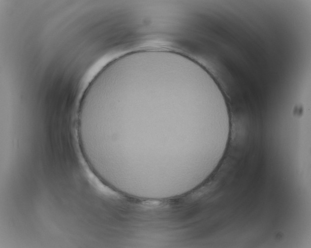 X0000111861478200909031739
