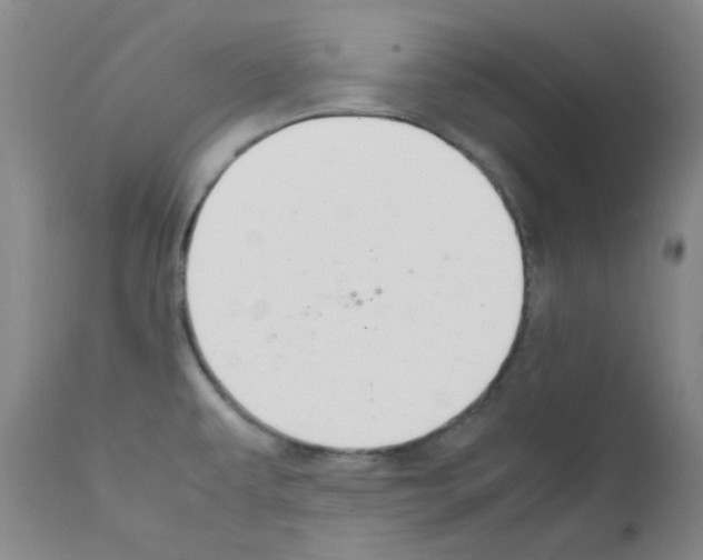 X0000111861479200909031739