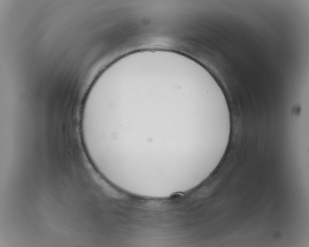 X0000111861480200909031739
