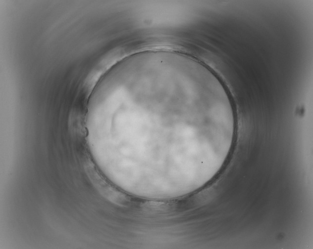 X0000111861481200909031739