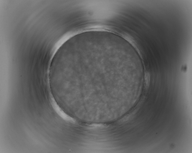 X0000111861482200909031739
