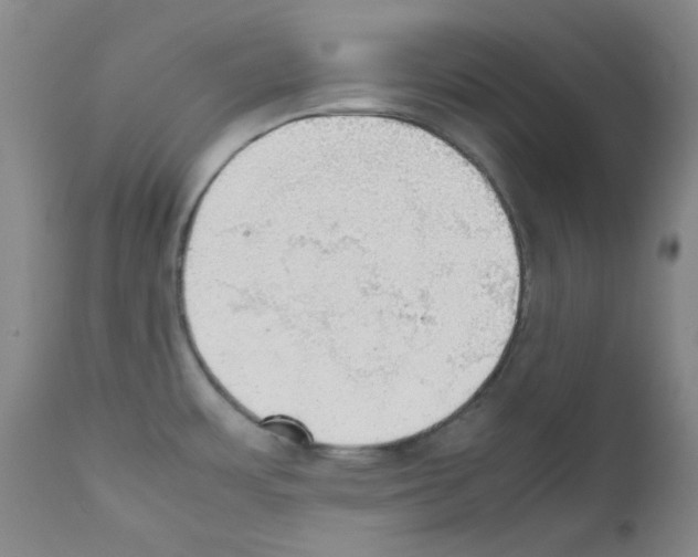 X0000111861483200909031739
