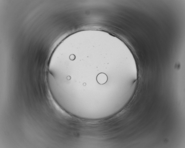 X0000111861484200909031739