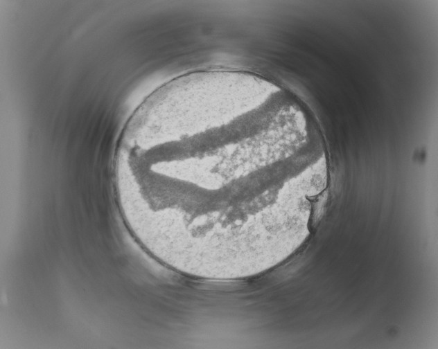 X0000111861487200909031739