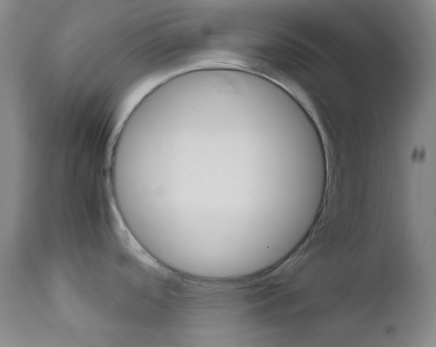 X0000111861488200909031739