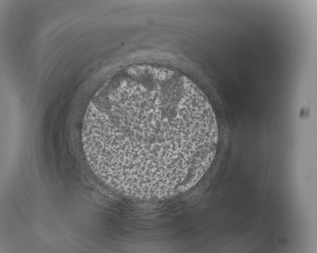 X0000111861489200909031738