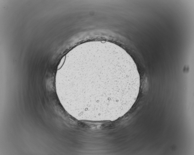 X0000111861490200909031738