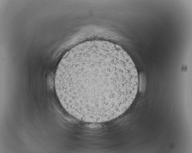 X0000111861491200909031738