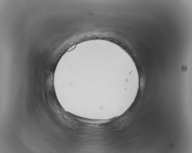 X0000111861492200909031738