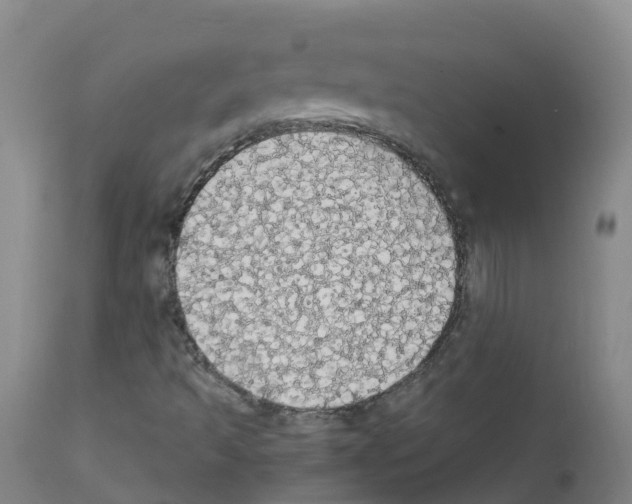 X0000111861493200909031738