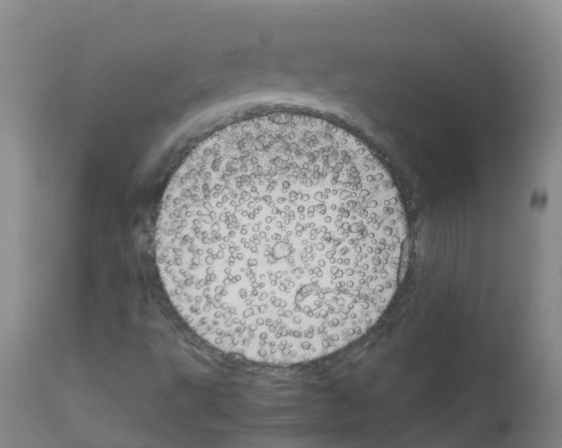 X0000111861495200909031738