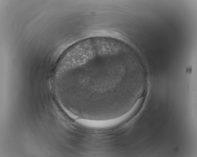 X0000111861497200909031738