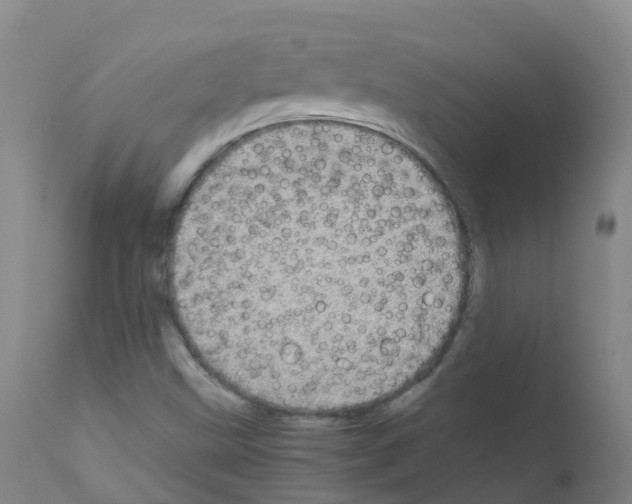 X0000111861499200909031738