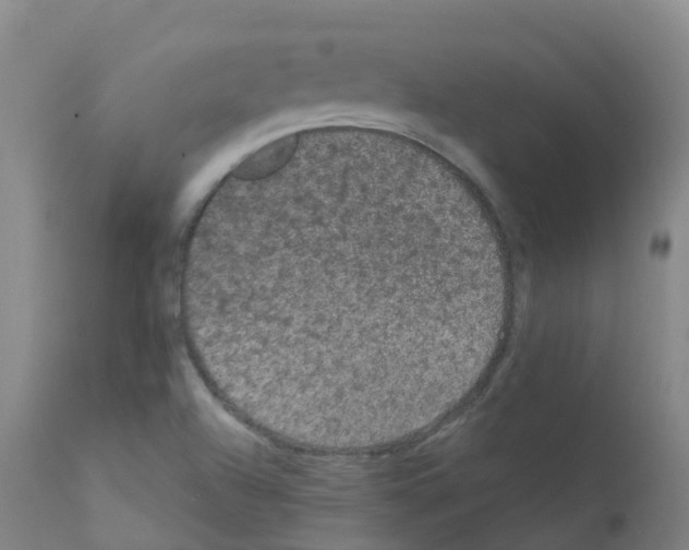 X0000111861504200909031738