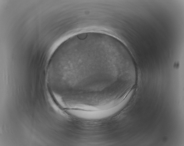 X0000111861515200909031738