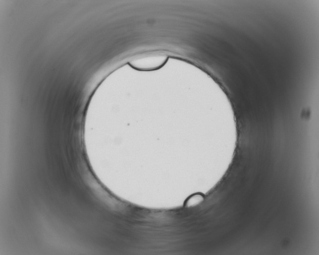 X0000111861516200909031738