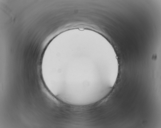 X0000111861518200909031738