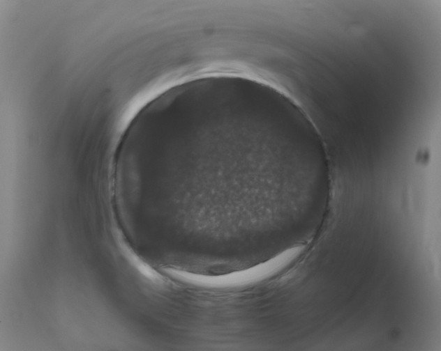 X0000111861519200909031738
