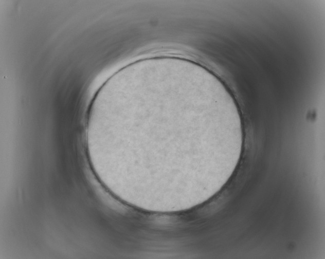 X0000111861520200909031738