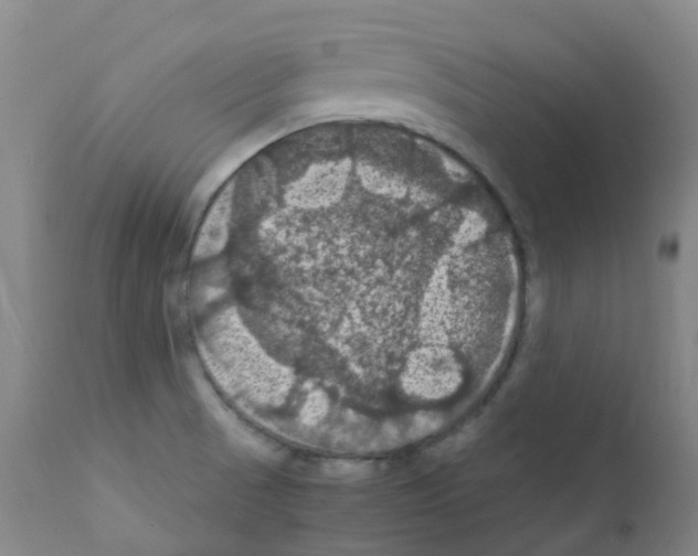 X0000111861521200909031738