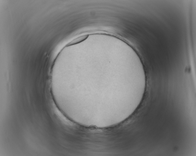 X0000111861524200909031739