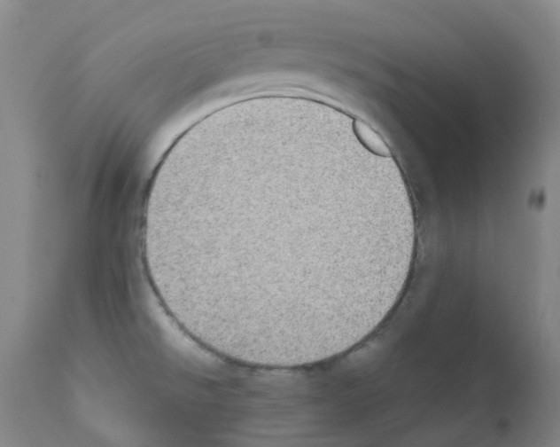 X0000111861526200909031739