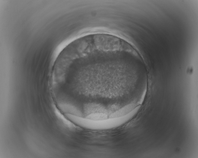X0000111861527200909031739