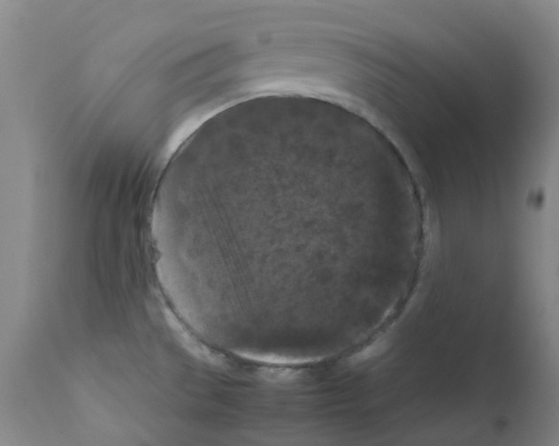 X0000111861529200909031739